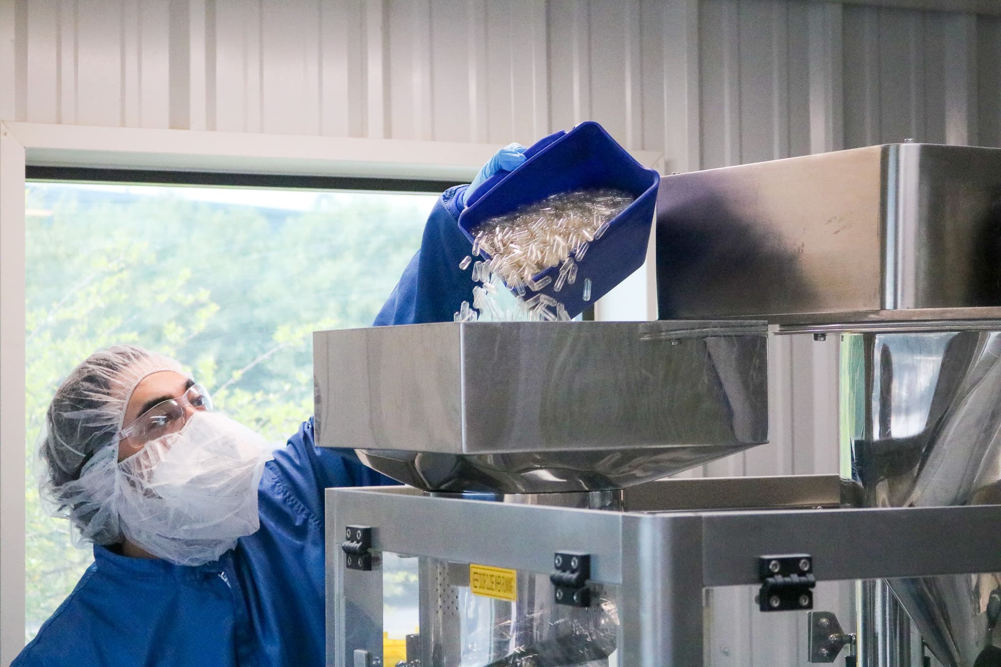 Production team member loading clear capsules into filling equipment