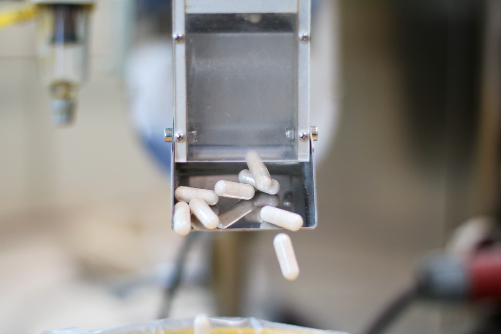 White supplement capsules dispensing from stainless steel production equipment